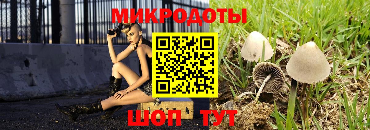 Галлюциногенные грибы прущие грибы Нефтекумск